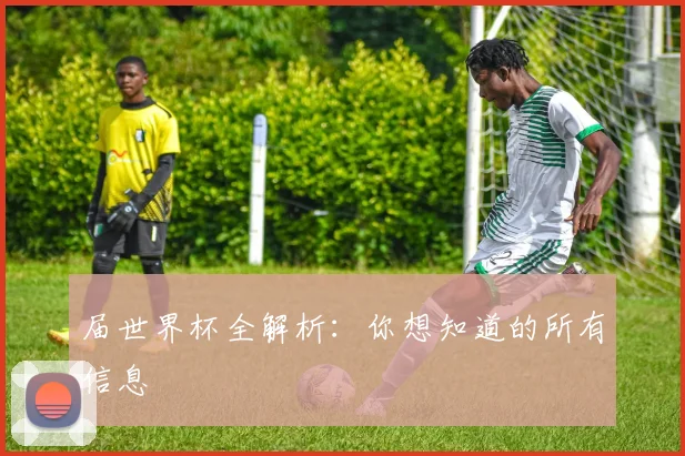 届世界杯全解析：你想知道的所有信息