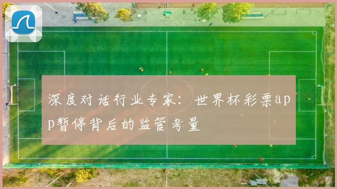 深度对话行业专家：世界杯彩票app暂停背后的监管考量