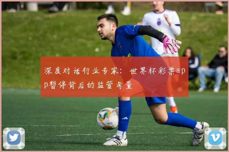 深度对话行业专家：世界杯彩票app暂停背后的监管考量