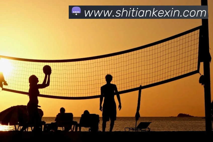 必一运动b官网平台生态图